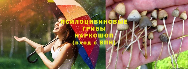 ECSTASY Абинск
