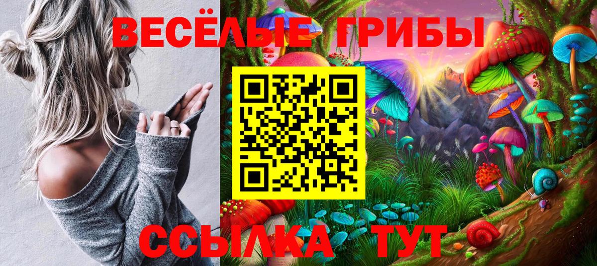 Галлюциногенные грибы Psilocybine cubensis  Псилоцибиновые грибы мицелий  Елабуга  Вход с VPN 