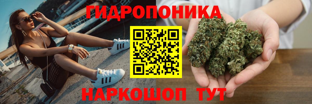 Канабис марихуана  МАРИХУАНА планчик  Канабис индика  Вход с VPN  Елабуга  Бошки Шишки индика 