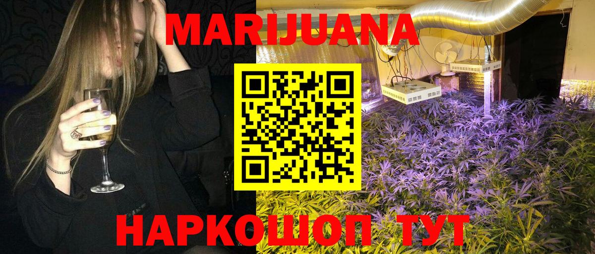 Бошки Шишки семена Елабуга